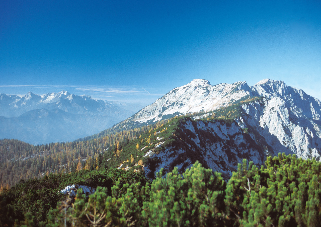 Nationalpark Kalkalpen - Oberösterreich - Hotel, Zimmer, Ferienwohnung