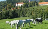 Lipizzanerheimat - Steirische Rucksackdörfer