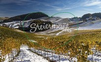 Weststeiermark - Schilcherregion