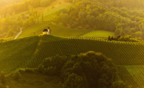 Südsteiermark - Südsteirische Weinstrasse