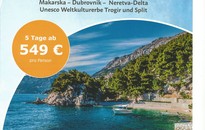 Makarska Riviera zur Mandarinenernte