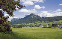 Thalgau