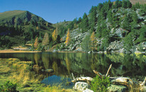 Nockberge - Bad Kleinkirchheim, Turracher Höhe