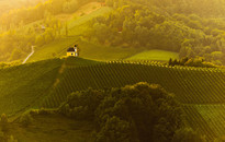 Südsteiermark - Südsteirische Weinstrasse