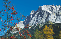 Naturparkregion Reutte