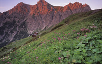 Alpenregion Bludenz