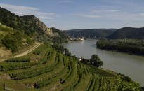 Wachau - Nibelungen - Kremstal