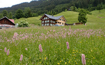 Bauernhof Stiegeler