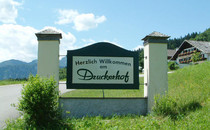 Panoramagasthof Druckerhof ***