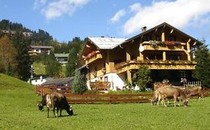 Ferienwohnungen Albert - Familie Wächter