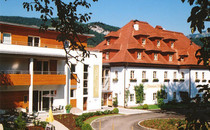 Wohlfühlhotel "Goiserer Mühle" ****