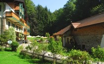 Hotel Hammerschmiede ****