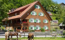 Hotel Gasthaus Schäfle ***