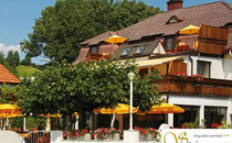 Seegasthof und Hotel Steinmaurer ***