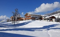 Hotel Alpenhof ***