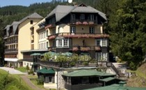 Alpenhotel Gösing ****