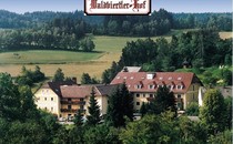 Waldviertler Hof ***