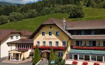 Landhotel Stofflerwirt ***