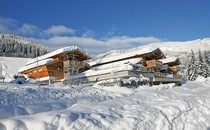 Alpin-Chalet Flachauwinkl