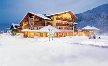 Hotel Alpenhof ****S