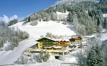 Hotel Alpenhof ****S