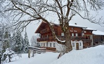 Ferienhaus Kogl-Kaser