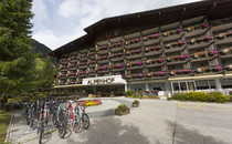 Hotel Alpenhof ****