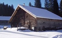 Alpinhütte