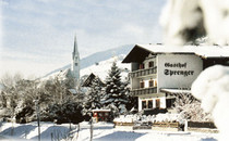 Gasthof Sprenger***