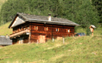 Almhütte Kamelisenalm Josef Bergmann