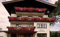 Pension Schiemhof