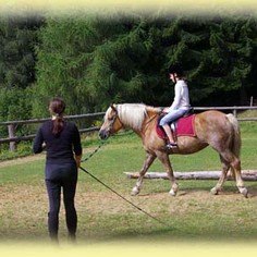 reiten